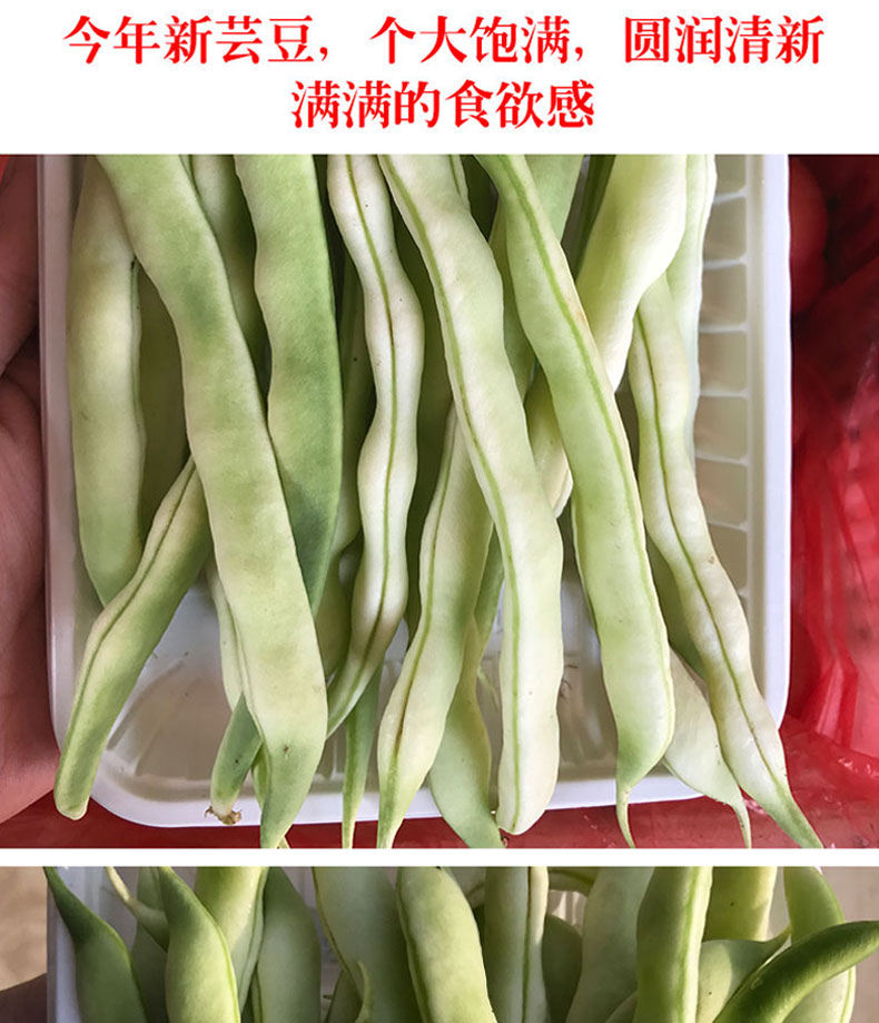 芸豆新鲜老来少白不老豆角扁豆角山东蔬菜东北3斤油豆角5四季豆